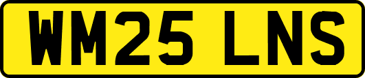 WM25LNS