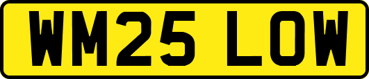 WM25LOW