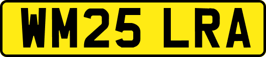 WM25LRA