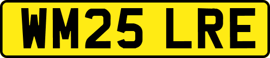 WM25LRE