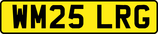 WM25LRG