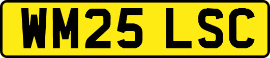WM25LSC