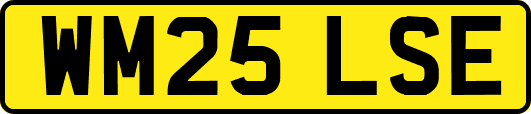WM25LSE