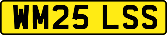 WM25LSS