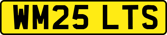 WM25LTS