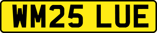 WM25LUE