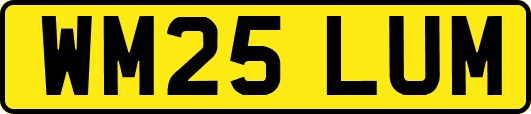 WM25LUM