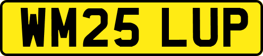 WM25LUP