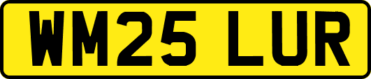 WM25LUR