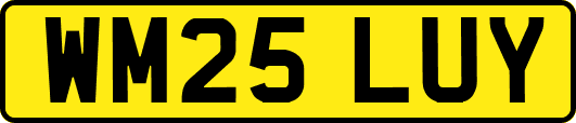 WM25LUY