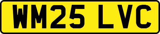 WM25LVC