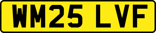 WM25LVF