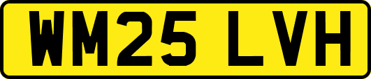 WM25LVH
