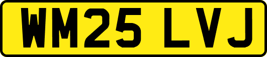 WM25LVJ