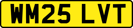 WM25LVT