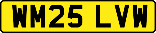 WM25LVW