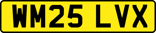 WM25LVX