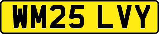 WM25LVY
