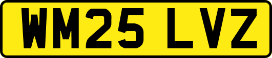 WM25LVZ