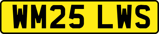 WM25LWS