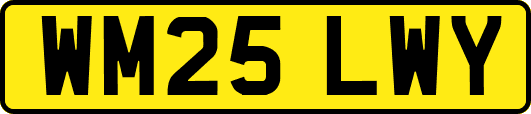 WM25LWY