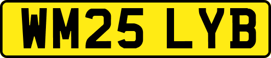WM25LYB