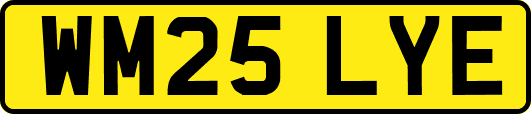 WM25LYE