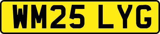 WM25LYG