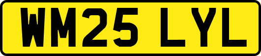 WM25LYL