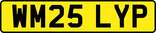 WM25LYP
