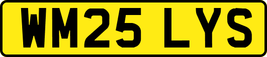 WM25LYS