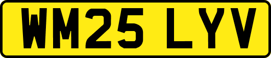 WM25LYV