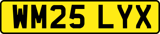 WM25LYX