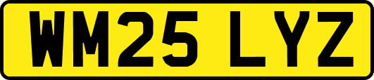 WM25LYZ