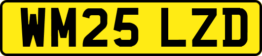 WM25LZD