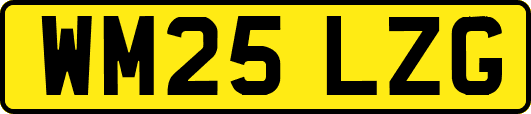 WM25LZG