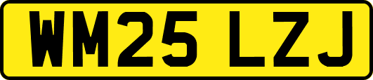 WM25LZJ