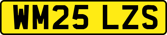 WM25LZS