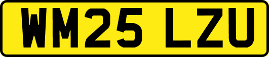 WM25LZU