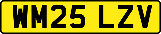 WM25LZV