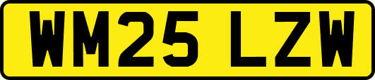 WM25LZW