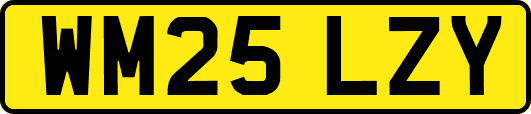 WM25LZY