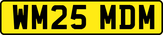 WM25MDM