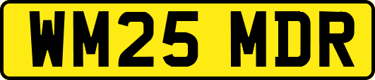 WM25MDR