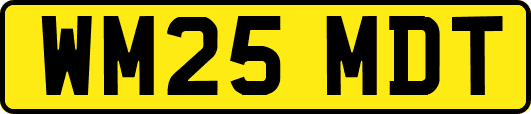 WM25MDT