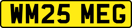 WM25MEG