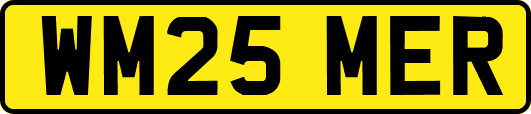 WM25MER