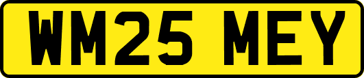 WM25MEY