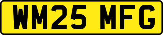 WM25MFG