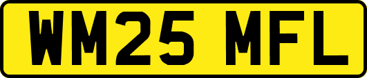 WM25MFL